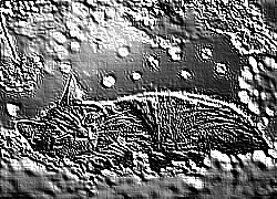 Skamielina