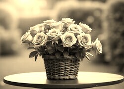 Szary + Sepia
