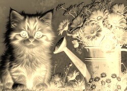 Sepia + Negatyw