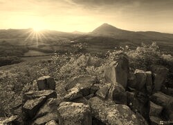 Szary + Sepia