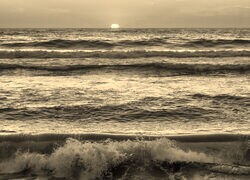 Sepia