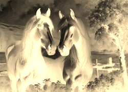 Sepia + Negatyw