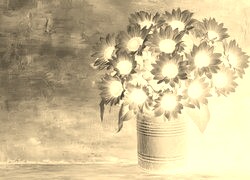 Sepia + Negatyw