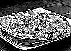 Skamielina