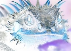 Negatyw