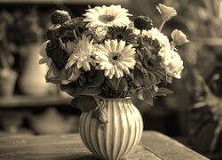 Szary + Sepia