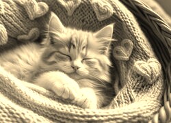 Szary + Sepia