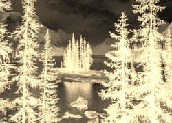 Sepia + Negatyw