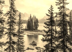 Szary + Sepia