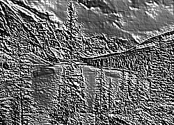 Skamielina