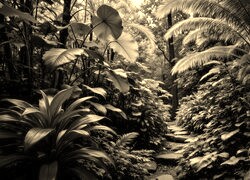 Sepia