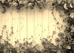 Szary + Sepia