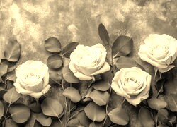 Szary + Sepia