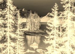Sepia + Negatyw