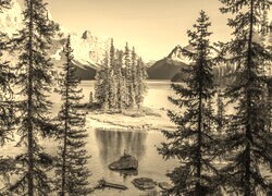 Szary + Sepia