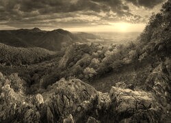 Szary + Sepia