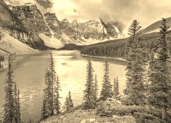Szary + Sepia