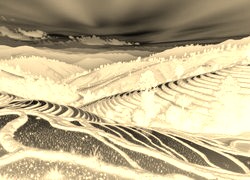 Sepia + Negatyw