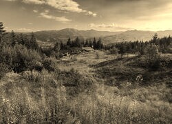 Szary + Sepia