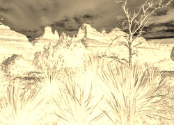Sepia + Negatyw