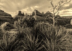 Sepia