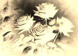 Sepia + Negatyw