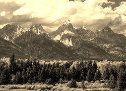 Szary + Sepia