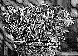 Skamielina