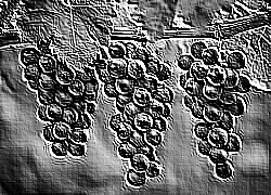 Skamielina