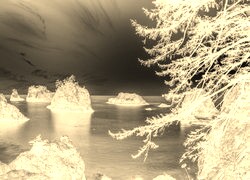 Sepia + Negatyw