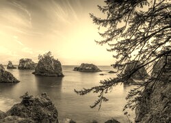 Szary + Sepia