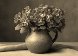 Szary + Sepia