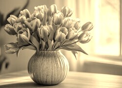 Szary + Sepia