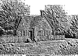 Skamielina