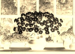Sepia + Negatyw
