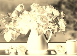 Sepia + Negatyw
