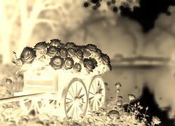 Sepia + Negatyw