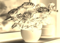 Sepia + Negatyw