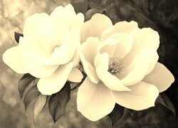 Szary + Sepia