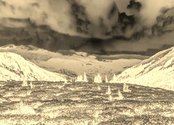 Sepia + Negatyw