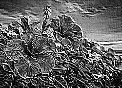 Skamielina