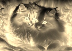 Sepia + Negatyw