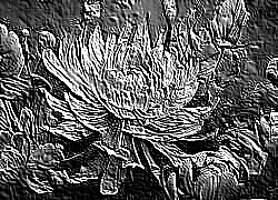 Skamielina