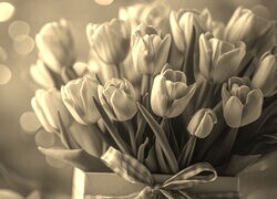 Szary + Sepia