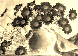 Sepia + Negatyw