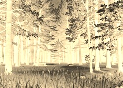 Sepia + Negatyw