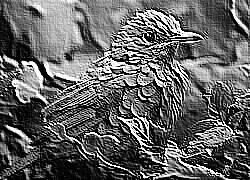 Skamielina
