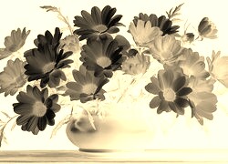 Sepia + Negatyw