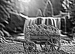Skamielina