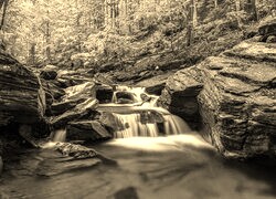 Sepia